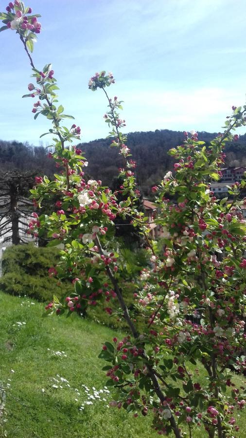 B&B Sari Como Dış mekan fotoğraf